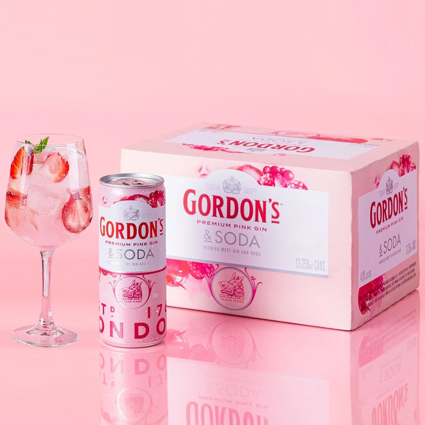 Gordon's Pink Gin & Soda 4% 12 Pack 250mL Cans