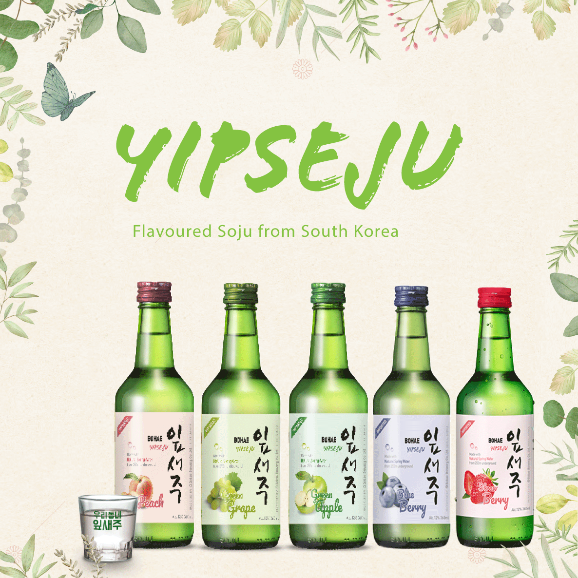 Yipseju Apple Soju 360mL (New) - Thirsty Liquor Tauranga